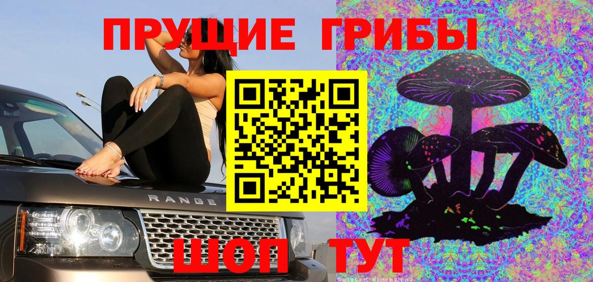 Псилоцибиновые грибы Psilocybe  Вход с VPN  Псилоцибиновые грибы Psilocybe  Видное 